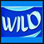 Wild Wild Shark